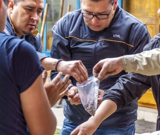 Proyecto Bombas de semilla Proyecto Bombas de semilla