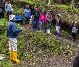 Proyecto Bombas de semilla Proyecto Bombas de semilla