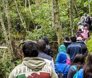 Proyecto Bombas de semilla Proyecto Bombas de semilla