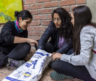 Proyecto Bombas de semilla Proyecto Bombas de semilla