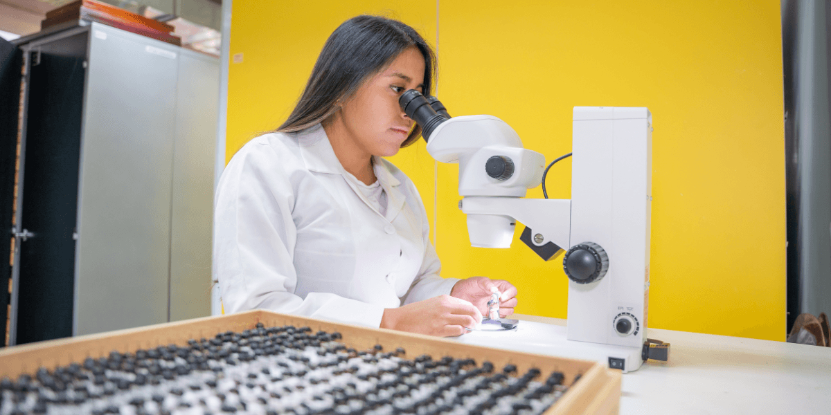 Investigación y conservación de la biodiversidad en el sur de Ecuador desde el Museo de Zoología