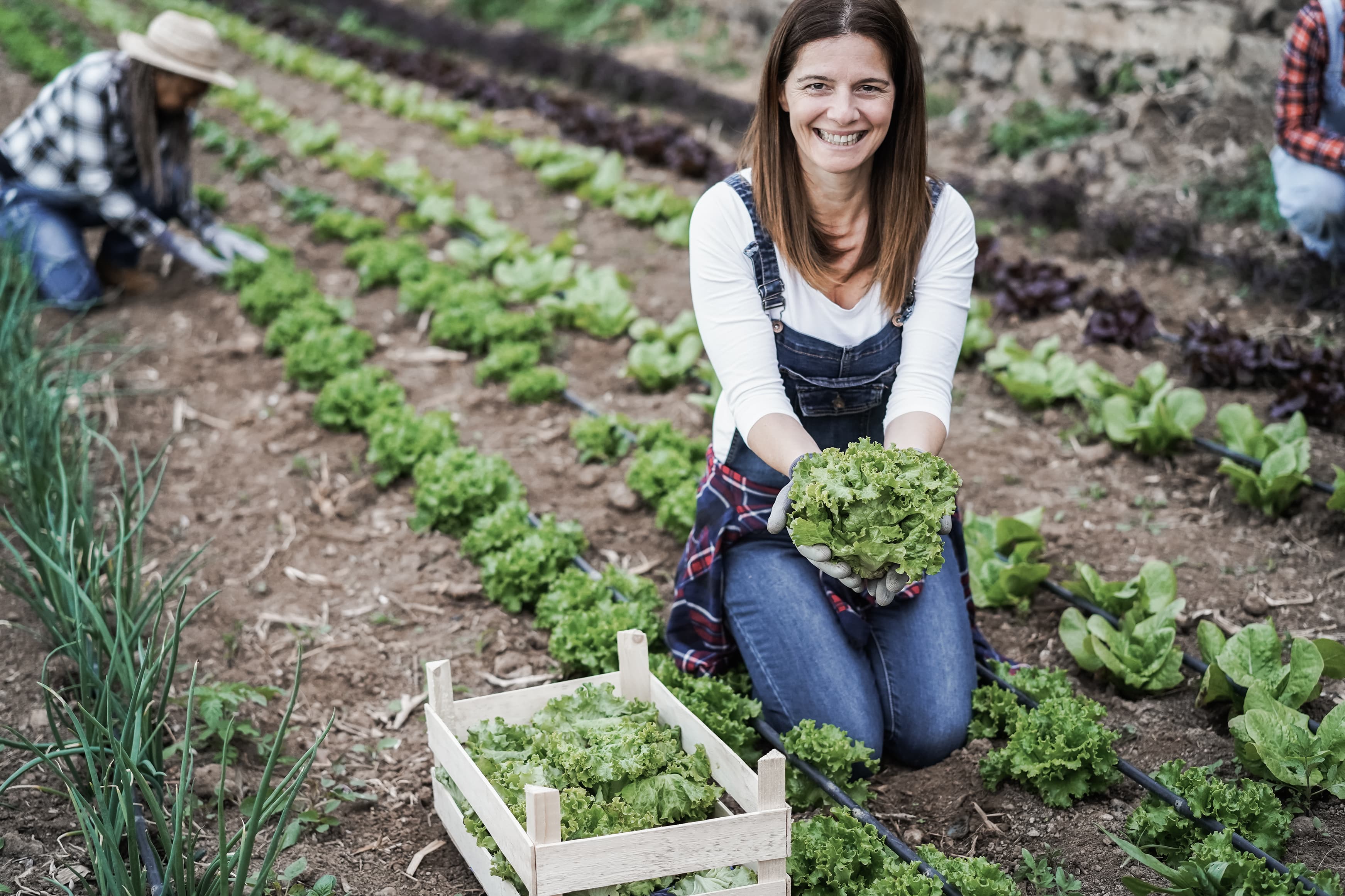 La mujer rural, pilar fundamental para la innovación social