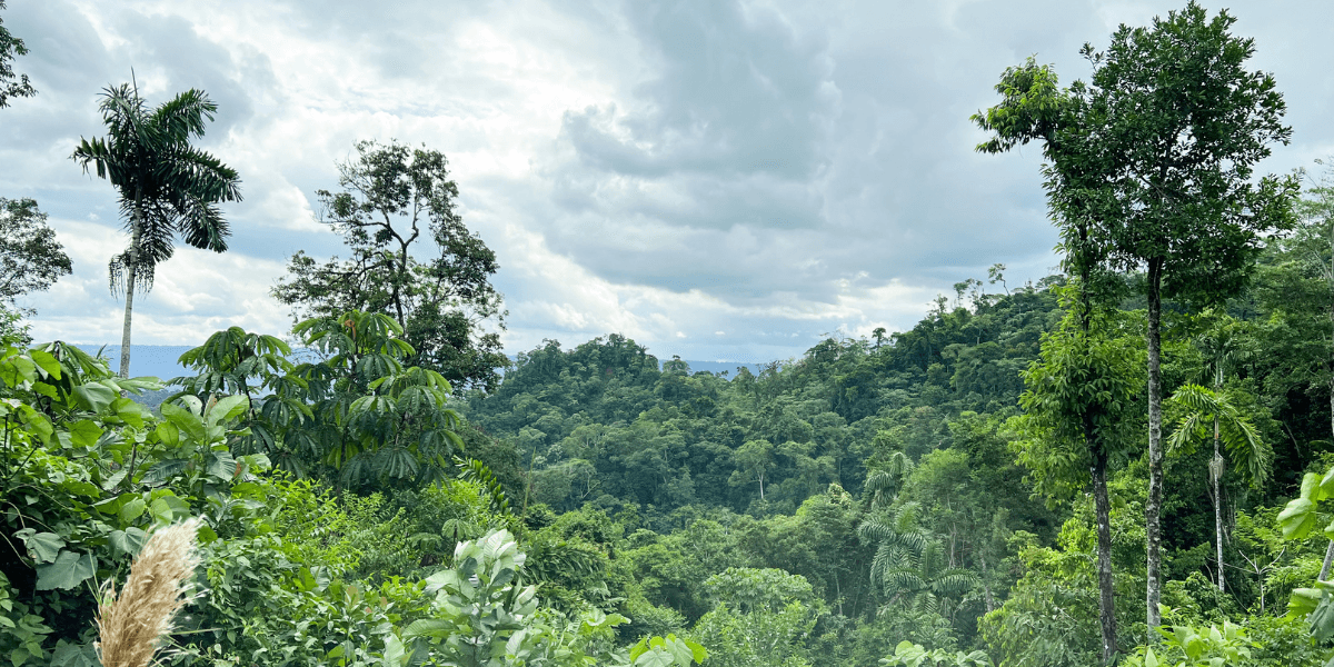 La Amazonía del Ecuador avanza hacia una bioindustria climáticamente inteligente e inclusiva