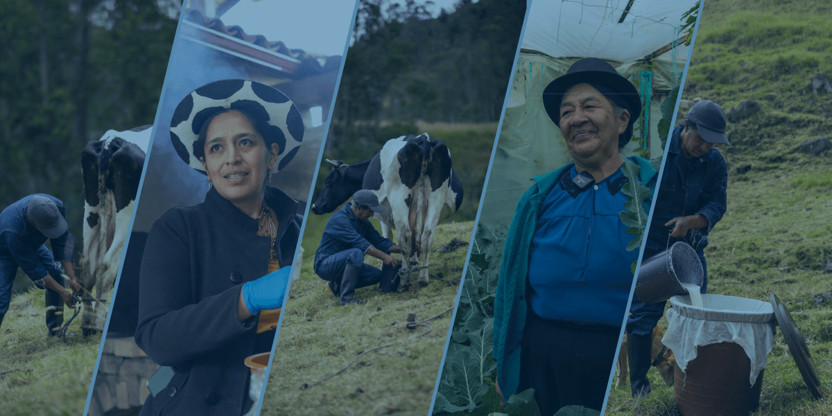 Proyecto de vinculación fortalece la producción en Saraguro