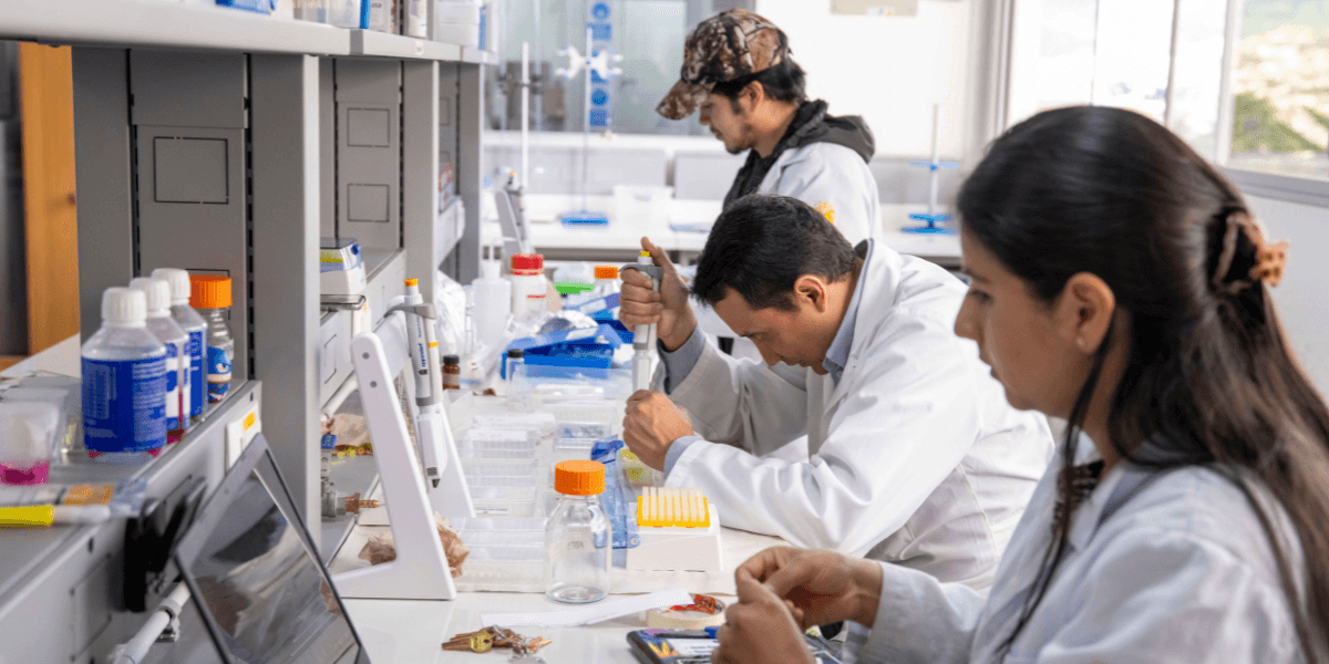 Ingeniería Ambiental, una carrera para quienes quieren transformar el planeta desde la ciencia