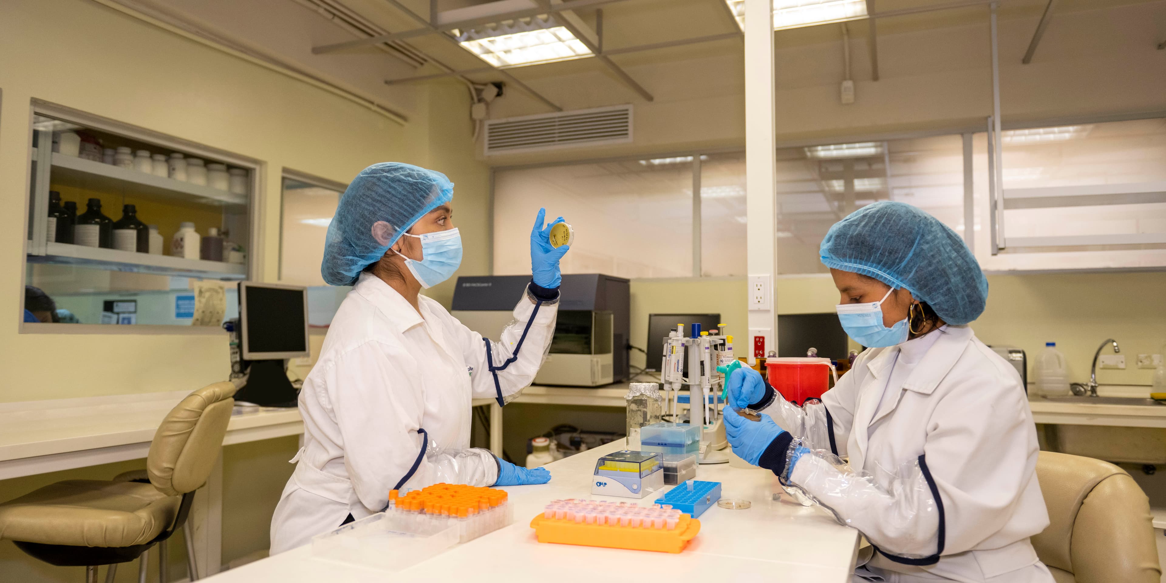 UTPL promueve un proyecto de biofortificación del banano