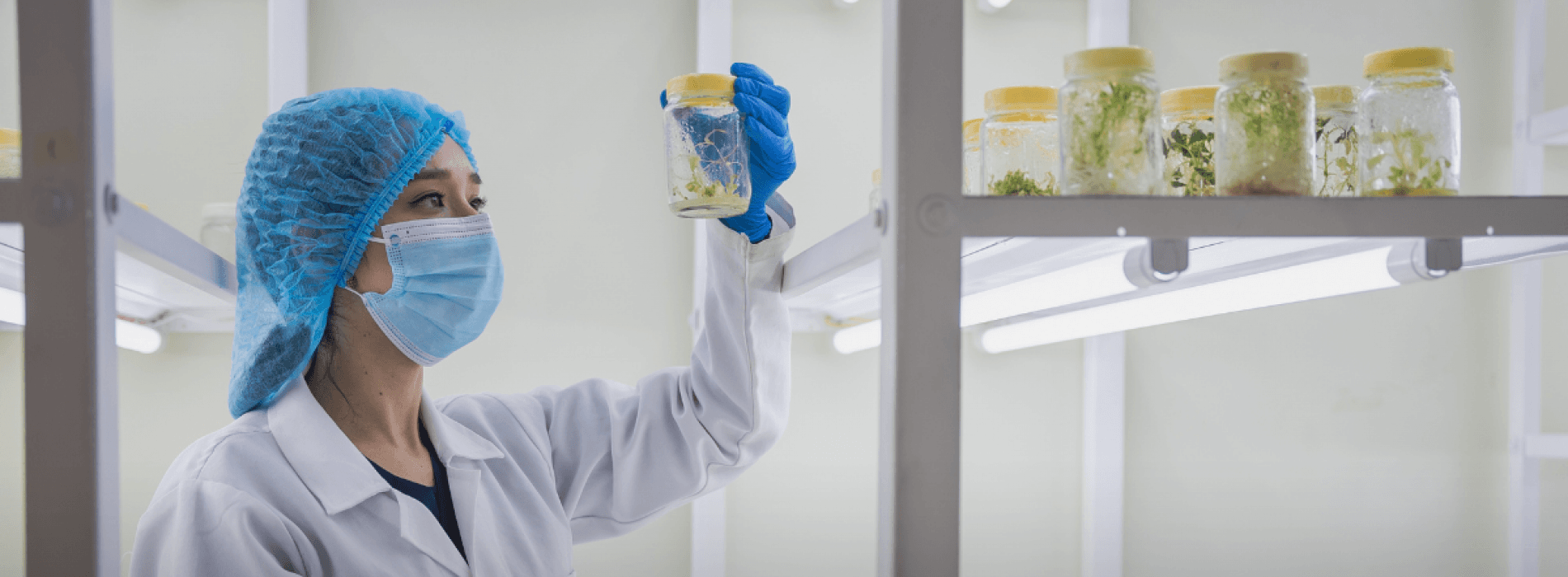 UTPL, un referente nacional por su investigación con impacto social