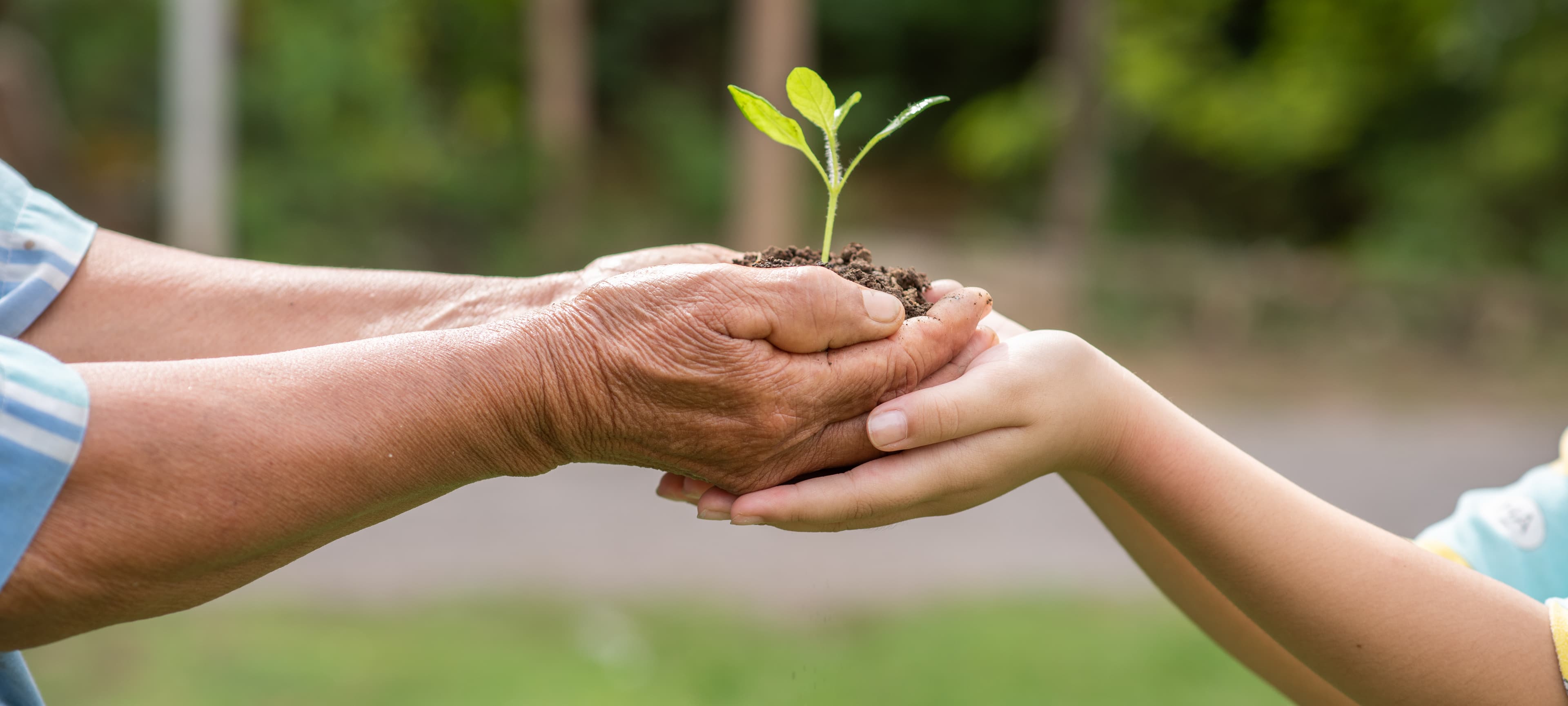 Ingeniería ambiental, factor clave en la educación para el futuro del planeta