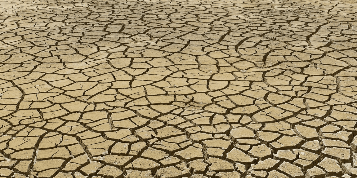 Impacto del cambio climático en el desarrollo sostenible de Ecuador