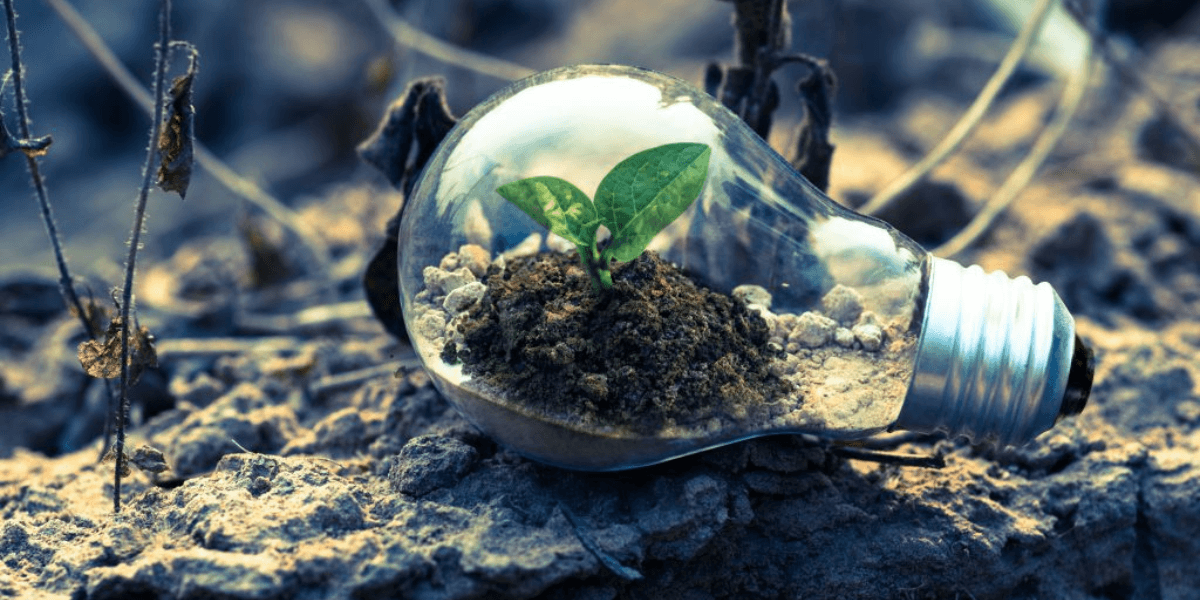La ciencia desde la academia para enfrentar la crisis ambiental con innovación y sostenibilidad