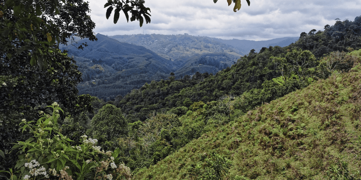 Los días internacionales de los bosques y del agua recuerdan el reto de restaurar los ecosistemas en Loja
