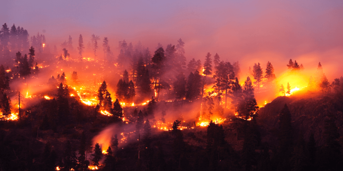 La sostenibilidad en la agricultura y la responsabilidad ciudadana evitan los incendios forestales