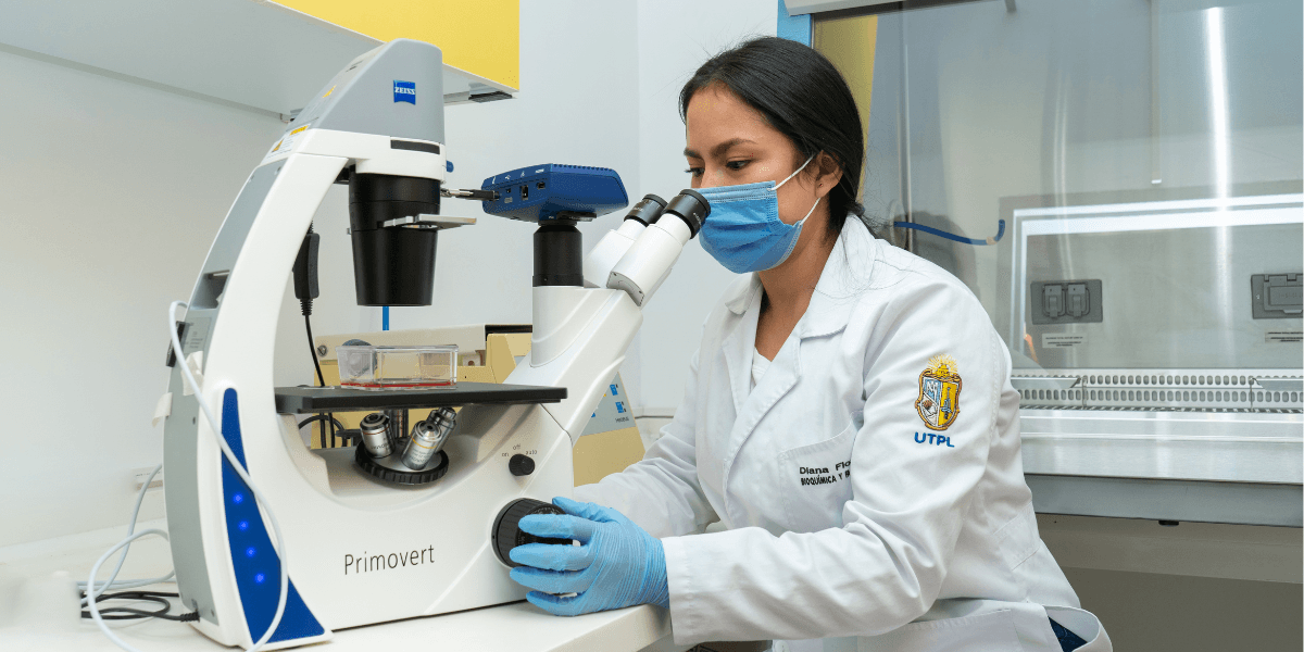 El papel de los micronúcleos en la investigación