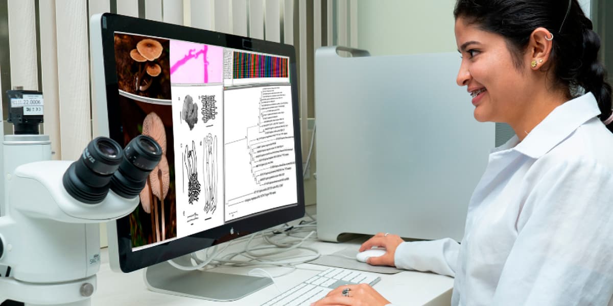 Investigación con sentido y proyección social