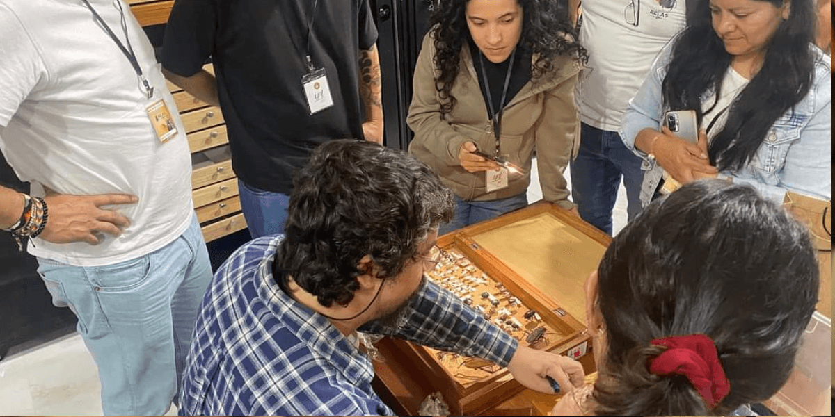 Estudiante de Biología impulsa la sostenibilidad en cafetales gracias a investigación sobre escarabajos