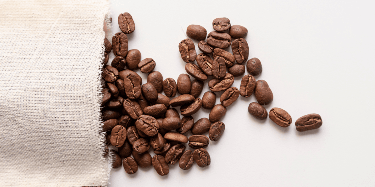 Innovación tecnológica en la producción y sostenibilidad del café