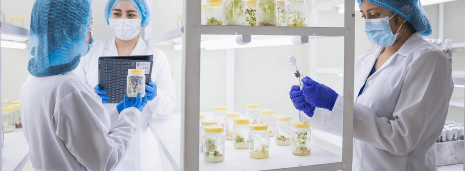 UTPL consolida su liderazgo en investigación según el ranking SCImago