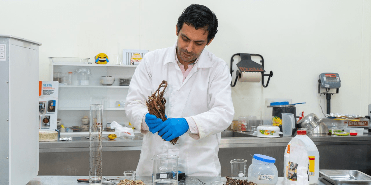 Desde Ecuador nace un bioplástico vegetal para el desarrollo sostenible