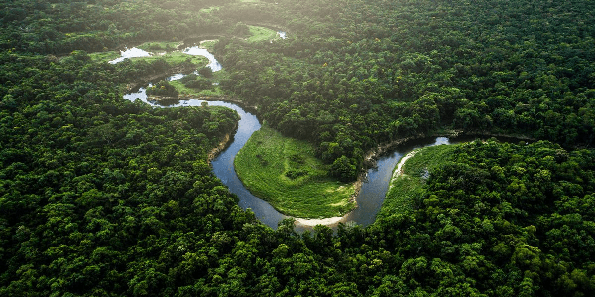 UTPL impulsa investigación de especies de la Amazonía y crea emprendimientos