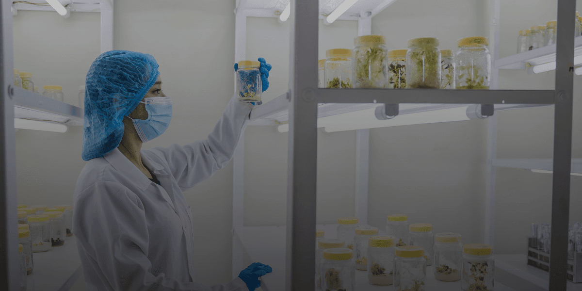 Investigación sobre agroquímicos y su afectación en la salud
