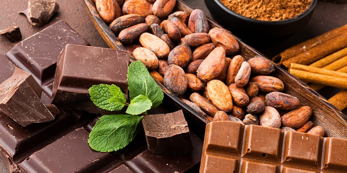 UTPL fortalece la Industria del Cacao en Zamora Chinchipe y Morona Santiago
