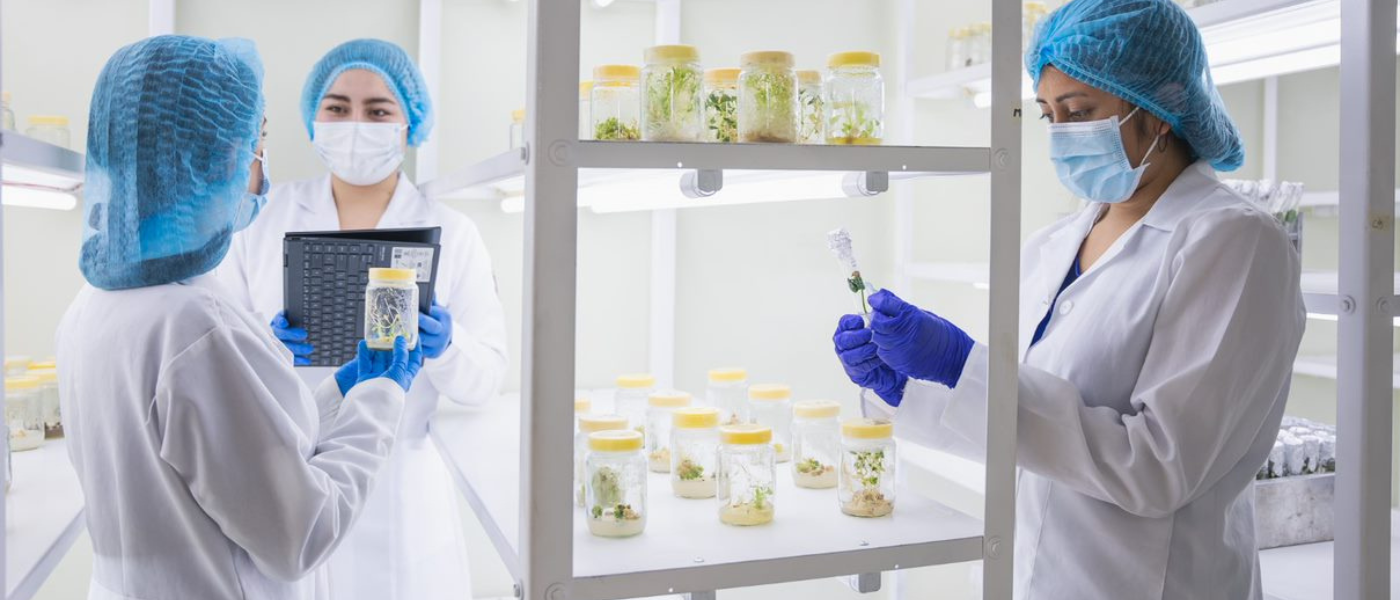 La investigación, motor de una educación transformadora