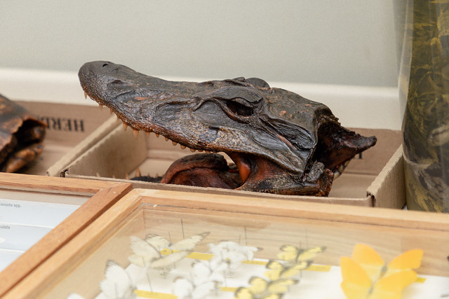 Socialización del proyecto de investigación Conservación del Abra Zamora
