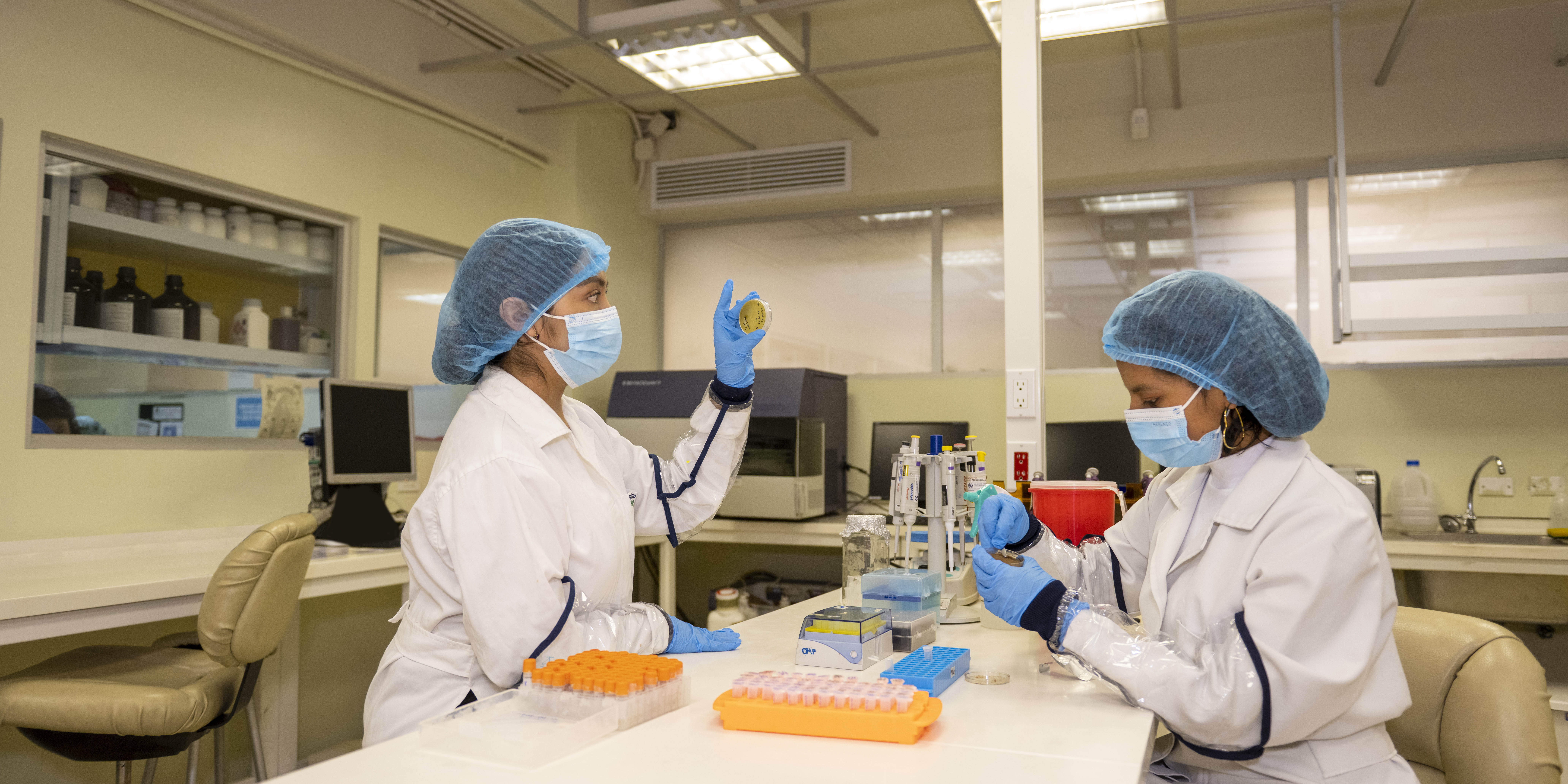 UTPL promueve un proyecto de biofortificación del banano
