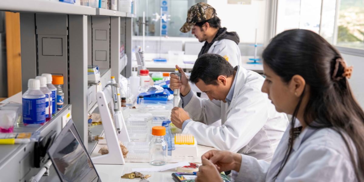 Ingeniería Ambiental, una carrera para quienes quieren transformar el planeta desde la ciencia