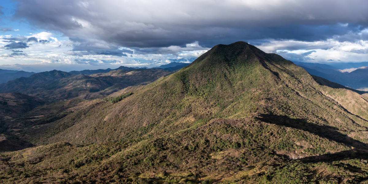 La investigación impulsa la conservación de la fauna y la biodiversidad en Paltas