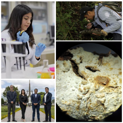 Investigadores de la UTPL contribuyen en descubrimiento de nueva especie de hongo con potencialidades médicas