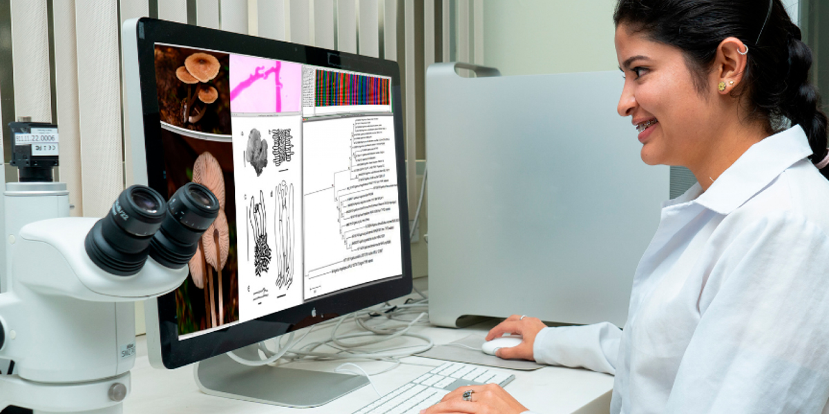 Investigación con sentido y proyección social