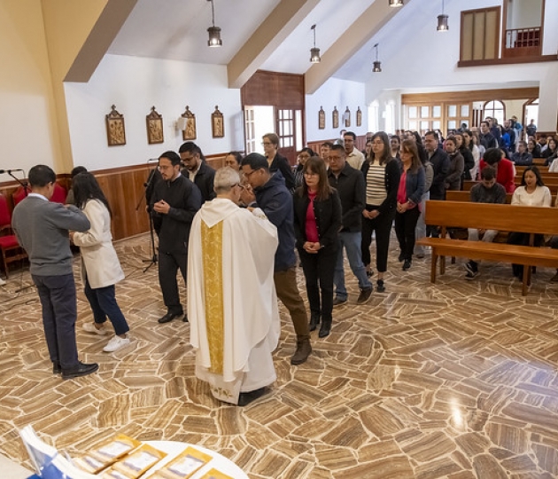 Presentación del Proyecto "No estás solo"