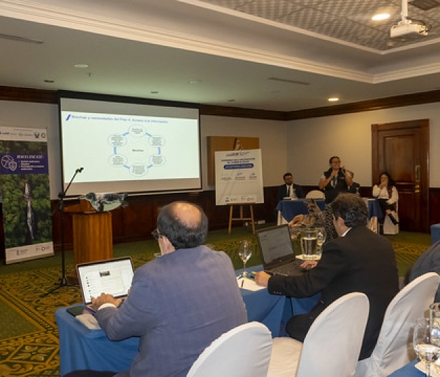 Participación seminario “Escazú en movimiento: avances y desafíos para su implementación en Ecuador”.