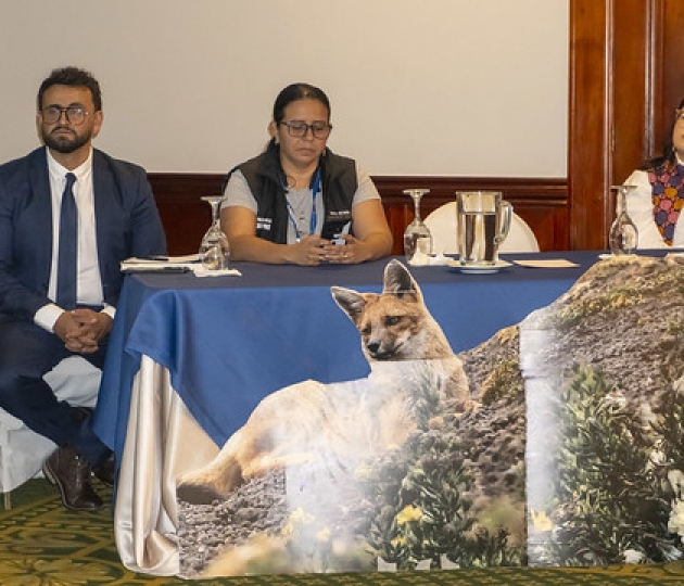 Participación seminario “Escazú en movimiento: avances y desafíos para su implementación en Ecuador”.