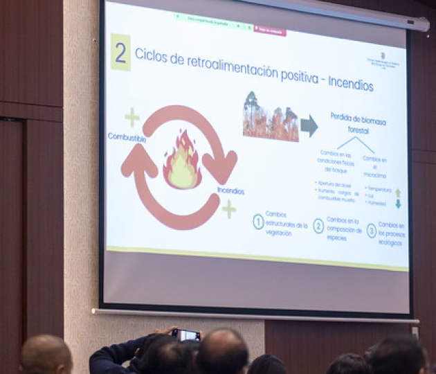 Presentación de la Agenda Nacional de Investigación sobre Manejo Integral del Fuego