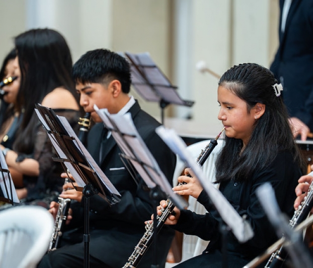 Festival Internacional SINFIN Armonía 2025