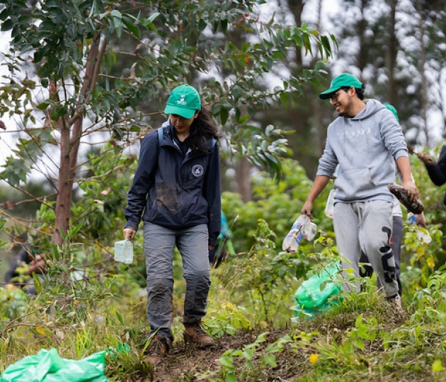 Reforestación en Cajanuma en alianza con Cascos Verdes