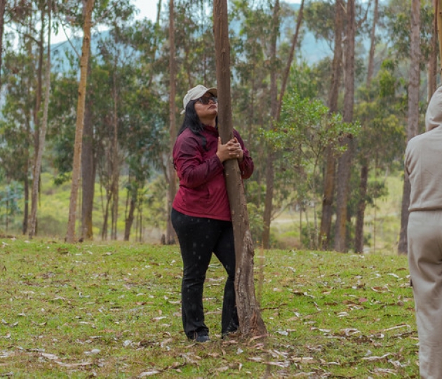 IntegralMente | Caminata Terapeútica