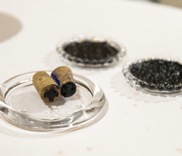 Misa de Miércoles de Ceniza