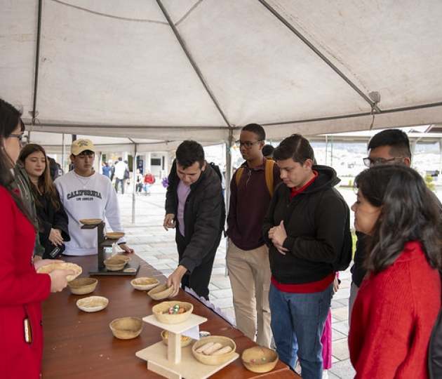 Ecoferia | Presentación de proyectos ambientales