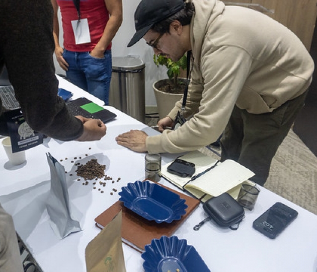 Campeonato Internacional de Tueste Campeonato Internacional de Tueste