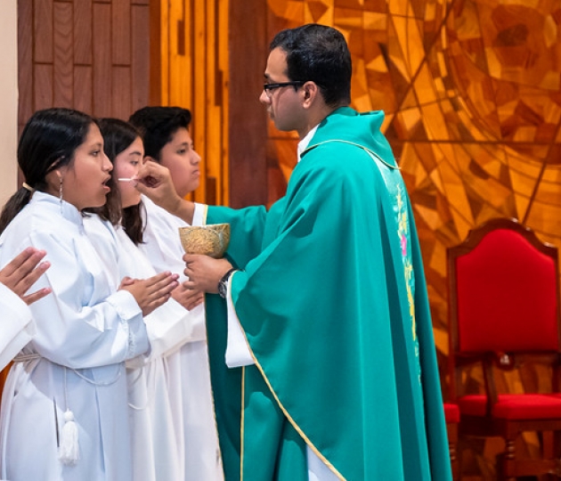 Día de la Santidad: Misa en honor al 102 aniversario del Nacimiento de Fernando Rielo