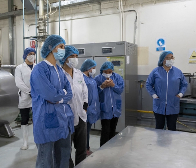 Talleres de innovación en alimentos