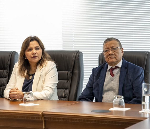 Visita in situ – Proceso de Cualificación Académica en el campo específico de Educación