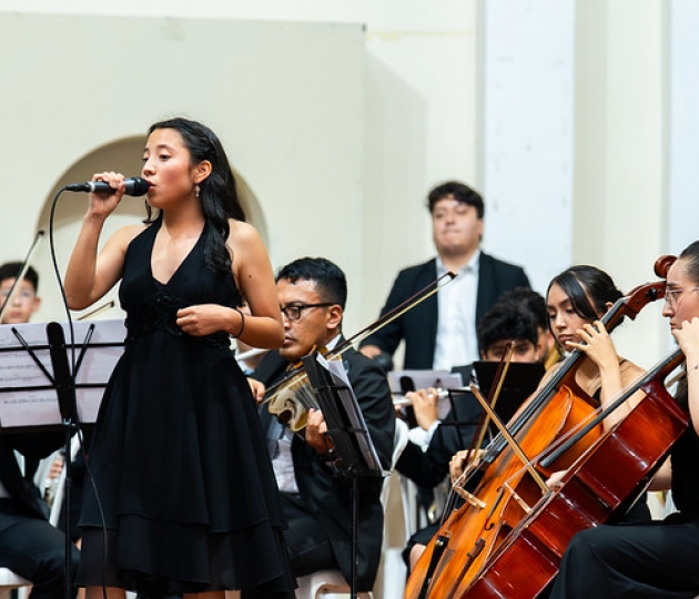 Festival Internacional SINFIN Armonía 2025