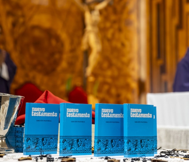 Misión Idente Profesional Taquil 2026