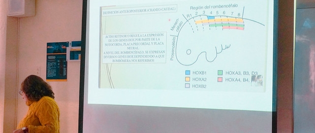 Proyecto de prevención de anomalías congénitas. Una estrategia de aprendizaje aplicado a la asignatura de embriología