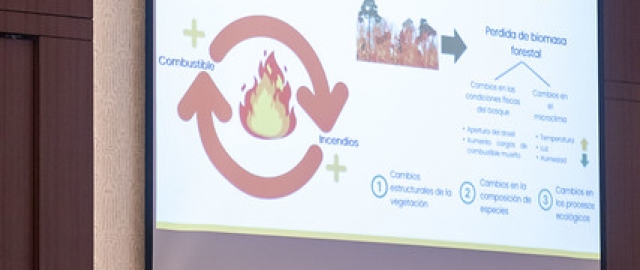Presentación de la Agenda Nacional de Investigación sobre Manejo Integral del Fuego Presentación de la Agenda Nacional de Investigación sobre Manejo Integral del Fuego