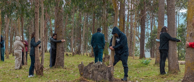 IntegralMente | Caminata Terapeútica IntegralMente | Caminata Terapeútica